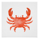 Search for ocean animals posters Minimalist