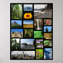 Search for favourite posters Beach
