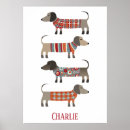 Search for dachshund posters Doxie