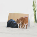 Search for animal charity cards Dog