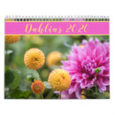 Search for dahlia calendars Garden