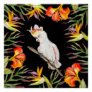 Search for cute bird drawing posters Parrot