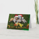Search for shiba inu christmas cards Merry