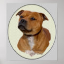 Search for bull terrier art Pets