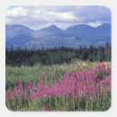 Search for public land stickers National park