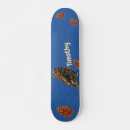 Search for owl skateboards Sports