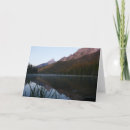 Search for stringed cards Photography