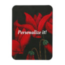Search for dark background magnets Floral