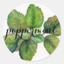 Search for mint herb stickers Botanical
