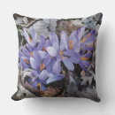 Search for lilac cushions Boho