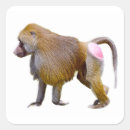 Search for baboon stickers Monkey