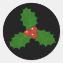 Search for holly leaf Winter