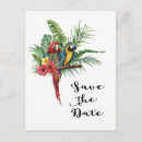Search for macaw invitations Luau