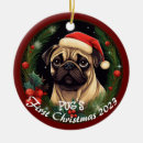Search for pug christmas tree decorations Dog lover