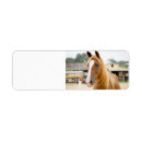 Search for quarter horse return address labels Horses