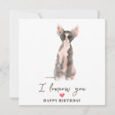 Search for sphynx cards Pets