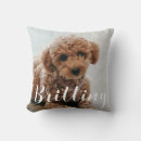 Search for dog remembrance Fun and playful typography