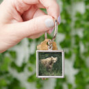 Search for bear family key rings Cub