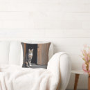 Search for tabby cat cushions Kitty