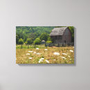 Search for lace canvas prints Farm