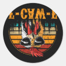 Search for laying hen stickers Baby chick