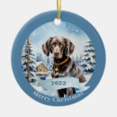 Search for german shorthaired pointer christmas tree decorations White