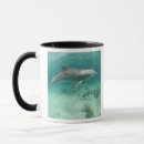 Search for grand island mugs Bahamas