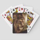 Search for aggressive playing cards Big