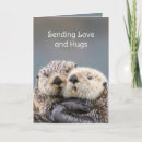 Search for otters in love cards Animal