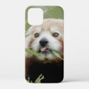 Search for kawaii animal cases Nature