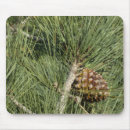 Search for needle electronics Green