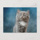 Search for stormy postcards Grey