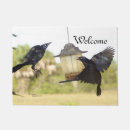 Search for crow doormats Welcome