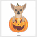 Search for fall festival stickers Pumpkin