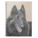 Search for belgian notebooks Dog