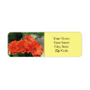 Search for orange daisy return address labels Nature