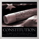 Search for the constitution posters Government