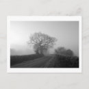 Search for misty postcards Winter