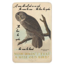 Search for wise owls magnets Animals