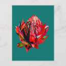 Search for native flowers postcards Watercolor