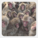 Search for together stickers Protection