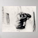 Search for cool gorilla posters Monkey