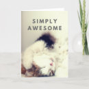 Search for playful cats cards Cat lovers