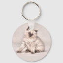 Search for ragdoll key rings Pet