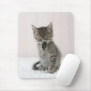 Search for cat breeds electronics Cute