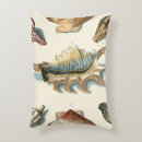 Search for shell cushions Nature