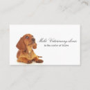 Search for veterinary business cards Pets