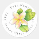 Search for plumeria return address labels Modern