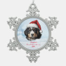 Search for bernese mountain dog christmas tree decorations Animals