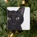 Search for black cat christmas tree decorations Cute black cats
